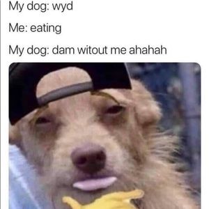 Meet your Posher, Luis